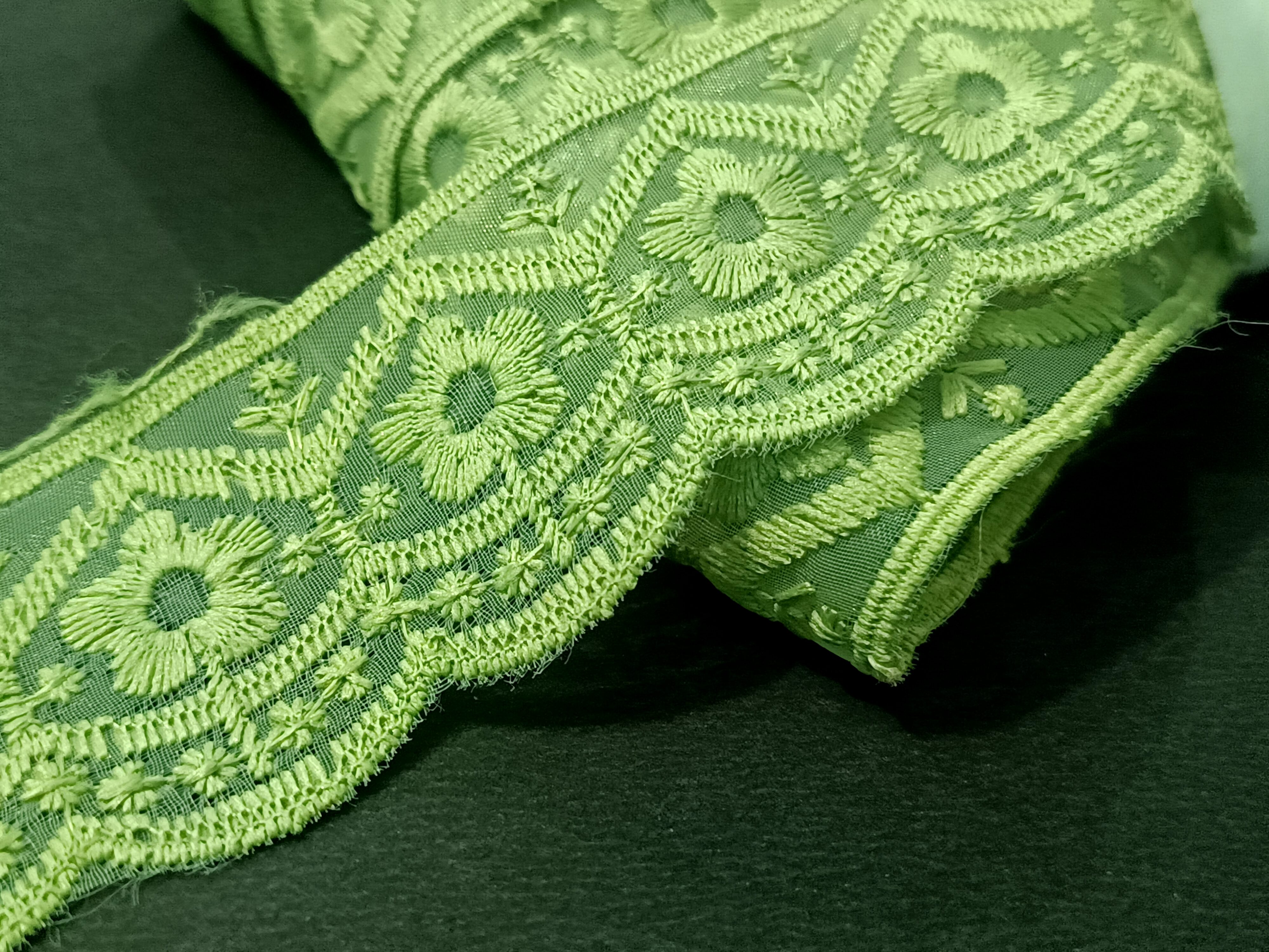 Premium Pistachio Floral Embroidered Net Lace - 10 Meter
