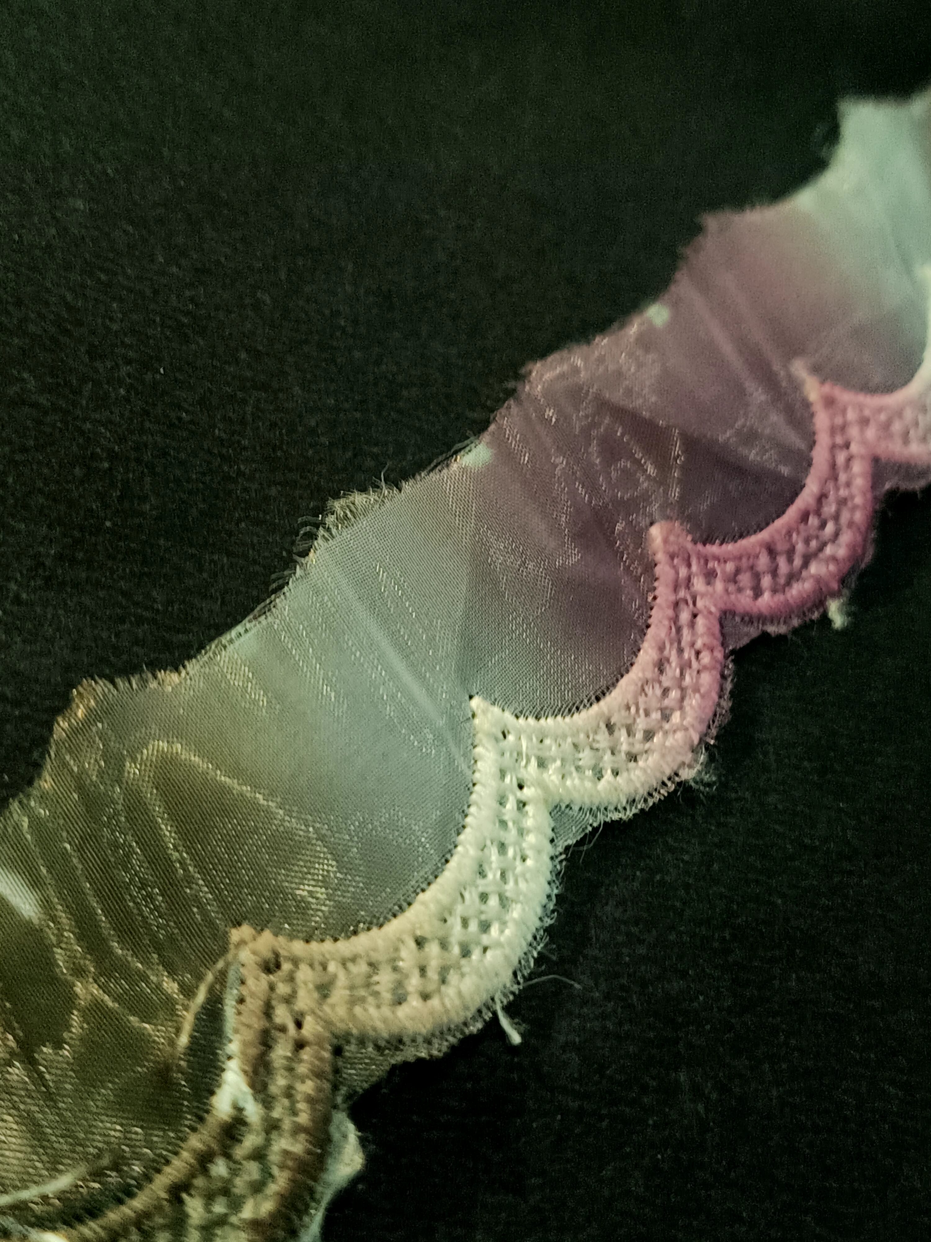 Multicolor Scalloped Embroidered Lace Trim – 10 Meter
